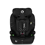 Black Carbon
