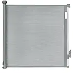Grey Concrete