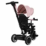 Дитячий триколісний велосипед Lionelo Berry Pink Rose