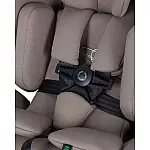 Автокрісло Carrello Meteorit Fusion i-Size CRL-15101 Sandstone Beige