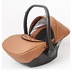 Brown 07
