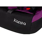 Автокресло Bair Kappa DK 1824 Черно - фиолетовый