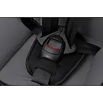 Автокресло Bair Alpha DA2423 Черно - серый