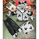 Зимовий комбінезон трійка Natalie Mickey Mouse Сірий