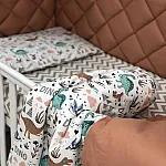 Постельный комплект Маленькая Соня Baby Mix Стандарт Дино Терракот