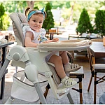 Стілець для годування Carrello Toffee CRL-9502/3 Space Grey
