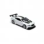 Автомодель - BENTLEY CONTINENTAL GT3 Білий (250258)