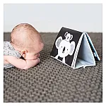 Розвиваюча книжка-розкладачка Taf Toys ПРИГОДИ Коали Кіммі