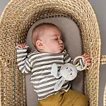 Брязкальце Taf Toys Кролик Райлі (13025)И