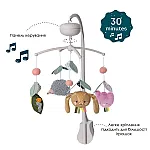 Музыкальный мобиль Taf Toys Природа (13055)