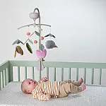 Музыкальный мобиль Taf Toys Природа (13055)