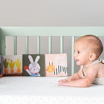Развивающая книжка-раскладушка Taf Toys Зайчики (13065)
