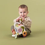 Развивающая игрушка-кубик Taf Toys Ежик и бурячок (13095)
