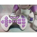 Игрушка на радиоуправлении Пони (808)