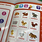 Інтерактивна книга Fun game Твоя перша книга (52047)