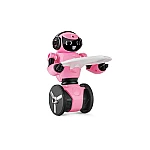 Робот на радиоуправлении WL Toys F1 с гиростабилизацией Розовый
