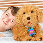 Интерактивная игрушка MY FUZZY FRIENDS Лабрадудель Moji (18207-UKR-ENG)