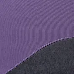 Детская коляска 2 в 1 Expander MODO M-71206 Plum