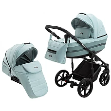 Коляска 2 в 1 Adamex Rimini Tip RI-114