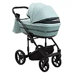 Коляска 2 в 1 Adamex Rimini Tip RI-114