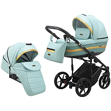 Коляска 2 в 1 Adamex Rimini Tip RI-22