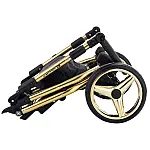 Коляска 2 в 1 Adamex Barcelona Polar (Gold) BR442 Черный