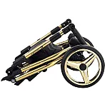 Коляска 2 в 1 Adamex Barcelona Polar (Gold) BR619 Чорний з золотим