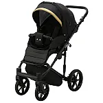 Коляска 2 в 1 Adamex Rimini Tip RI-1