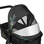 Коляска 2 в 1 Lionelo Amber Dreamin