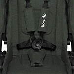 Коляска 2 в 1 Lionelo Mika Green Forest