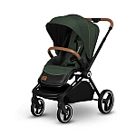 Коляска 2 в 1 Lionelo Mika Green Forest