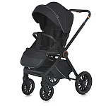 Коляска 2 в 1 EL Camino ME 1100-1 Era Black Ink