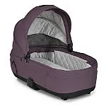 Коляска 2 в 1 EL Camino CHLOE ME 1191-1 Plum Wine