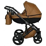Brown 07