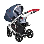 Коляска 2 в 1 Coletto Modena 03