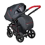 Коляска 2 в 1 Coletto Modena 08