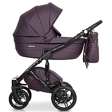 Коляска 2 в 1 Riko Naturo Ecco Plum 01