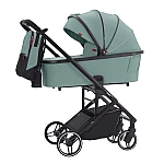 Parrot Green