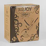 Прогулянкова коляска Joy Liliya Вишневий (10105)