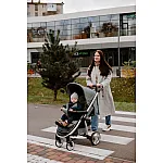 Прогулочная коляска Carrello Vista Air CRL-5511 Steel Gray