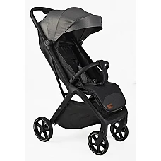 Прогулянкова коляска Joy Willow WL-65510 Сірий