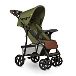 Прогулочная коляска Lionelo Emma Plus Forest Green