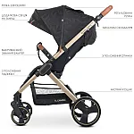 Прогулочная коляска EL Camino ME 1053G Dynamic PRO Special Black