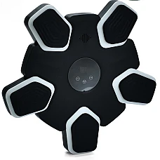 Боксерский набор Prof1 MS 4453-1-B Черный