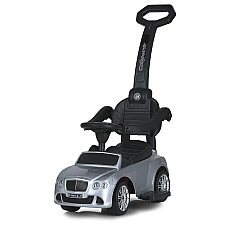 Машинка-каталка 2 в 1 Bambi M 3901LS-11 Серый