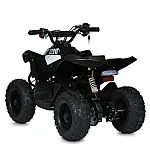 Детский квадроцикл Prof1 E-XBW-1200-2(MP3) Черный