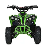 Детский квадроцикл Prof1 E-XBW-1200-5(MP3) Зеленый