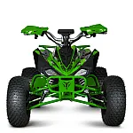 Детский квадроцикл Prof1 HB-EATV1500B-5(MP3) Зеленый