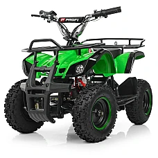 Дитячий квадроцикл Prof1 HB-EATV800N-5 V3 Зелений