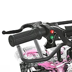 Дитячий квадроцикл Prof1 HB-EATV800NP-8 Рожевий